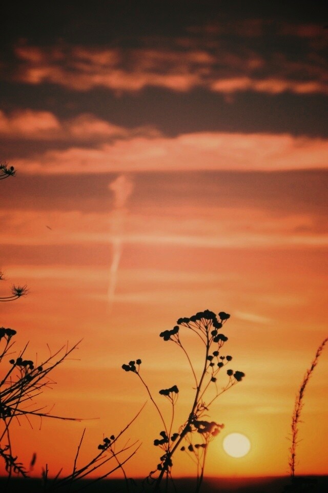 Степной закат обои