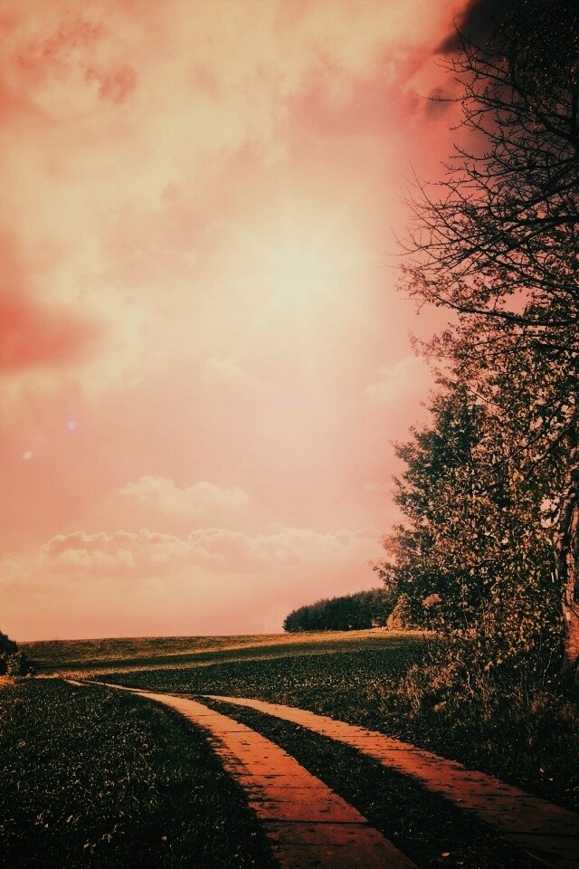 Солнечные холмы обои