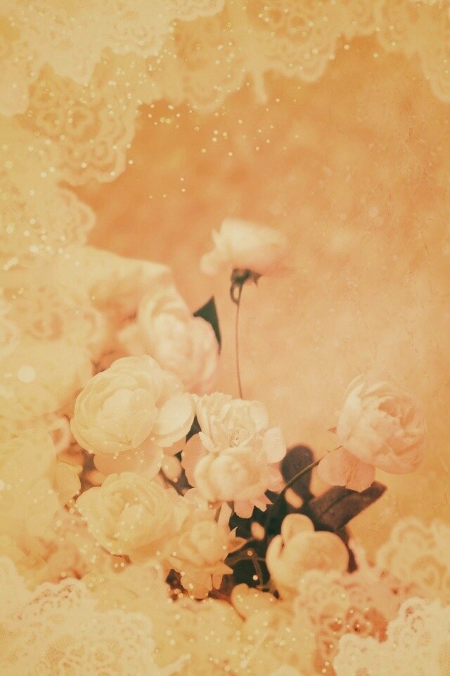 Бежевые кружева и розы обои