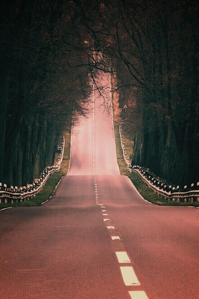 Дорога уходит ввысь обои