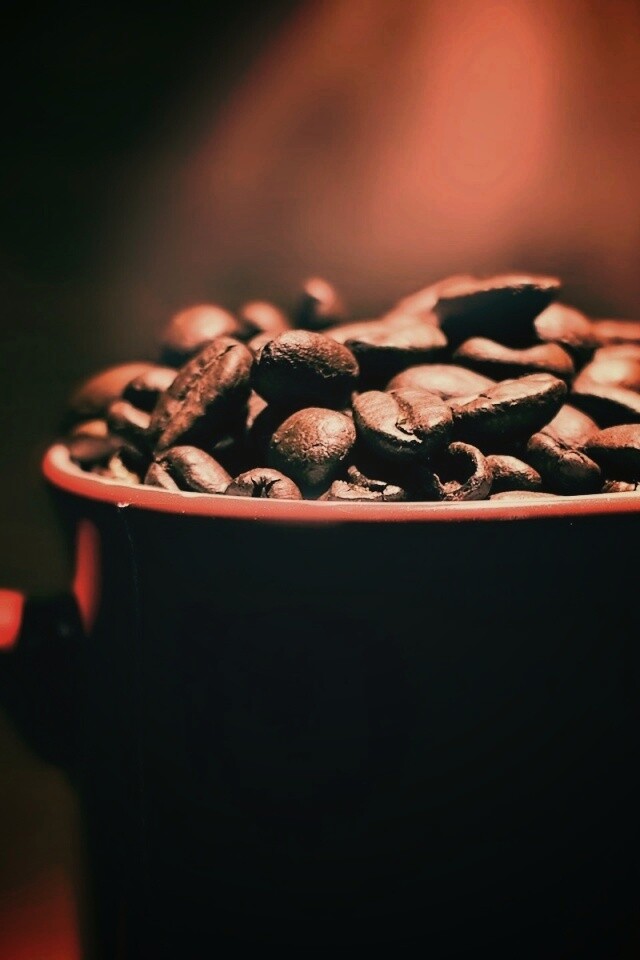 Полная кружка кофейных зёрен обои