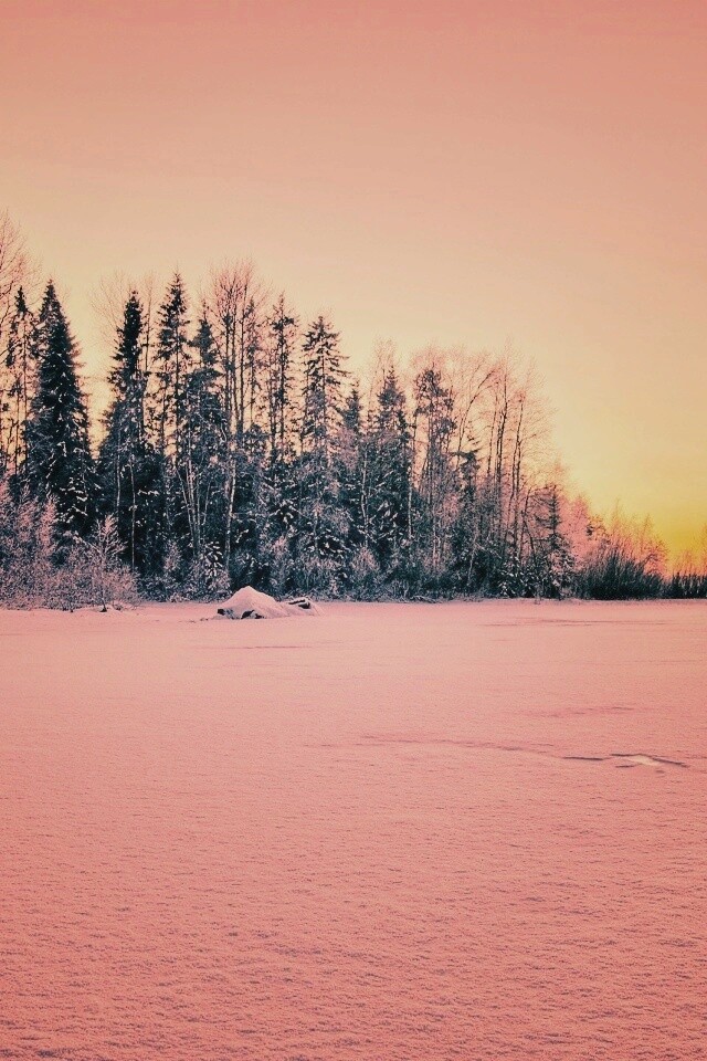 Зимний закат обои