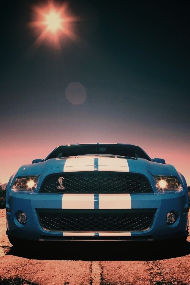 Форд Шелби обои