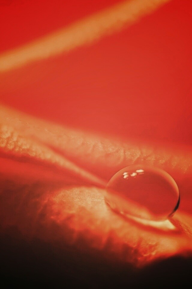 Капелька обои