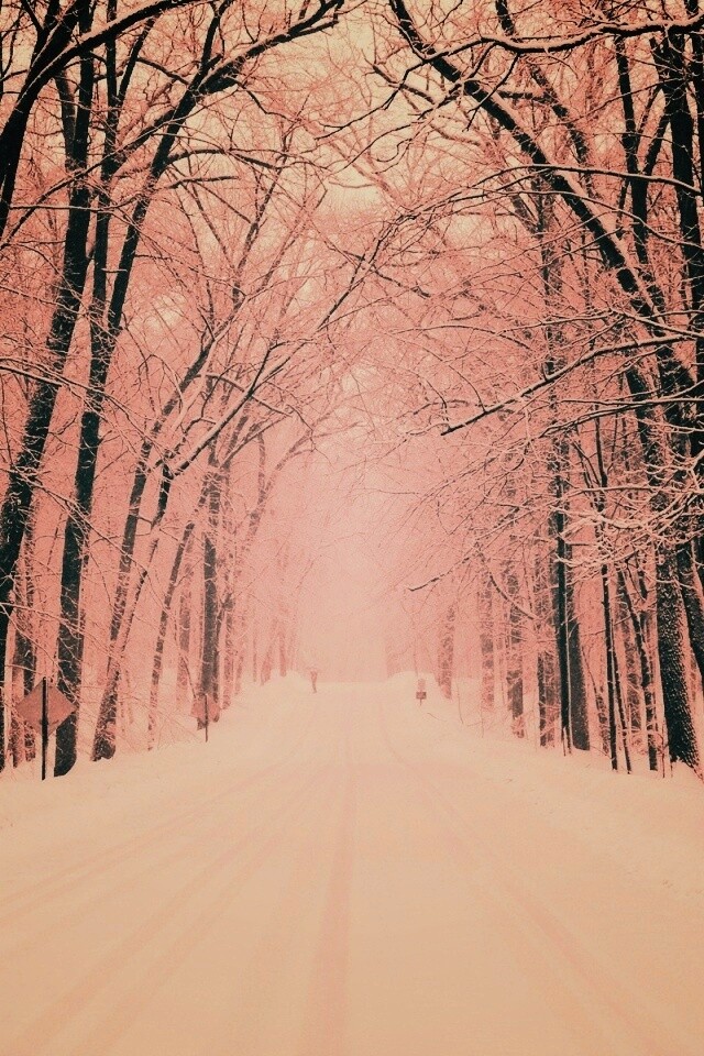Дорога зимой в парке обои