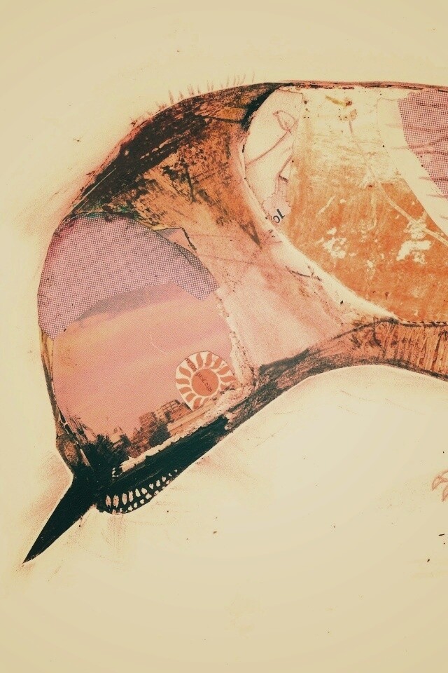 Аппликация Стефана Томпсона "Птица" обои