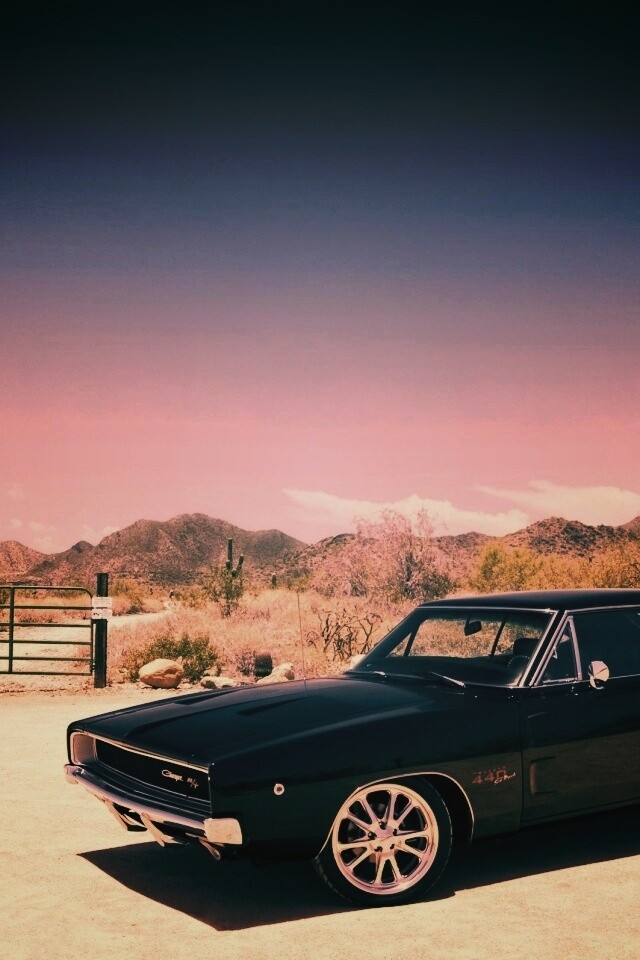 Мускулкар под палящим солнцем обои