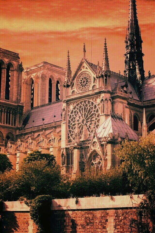 Собор парижской Богоматери обои