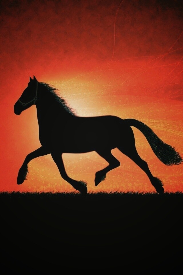 Силует коня на закате обои