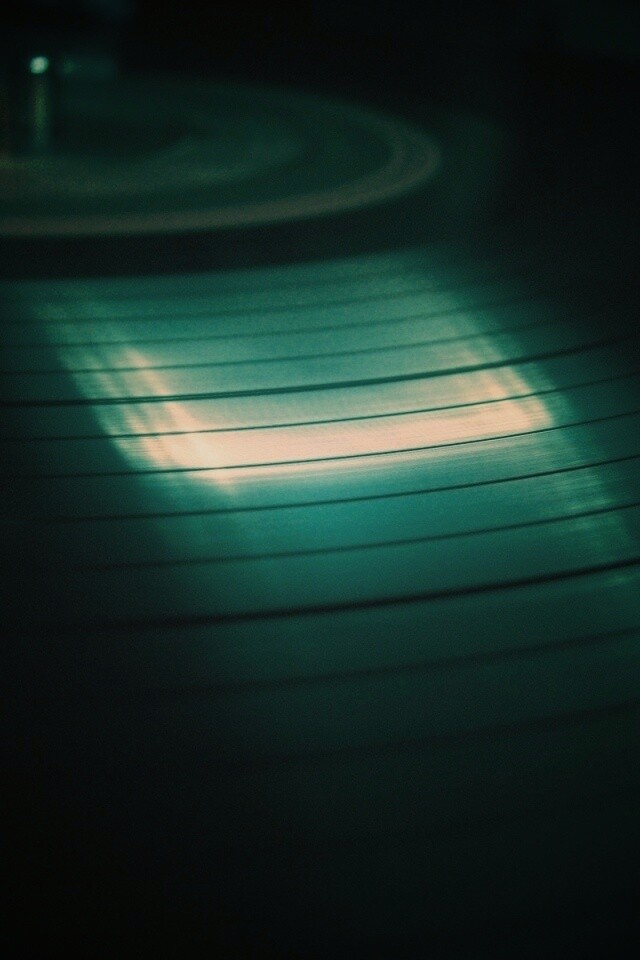 Пластинка обои