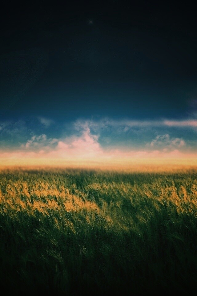 Луг на другой планете обои