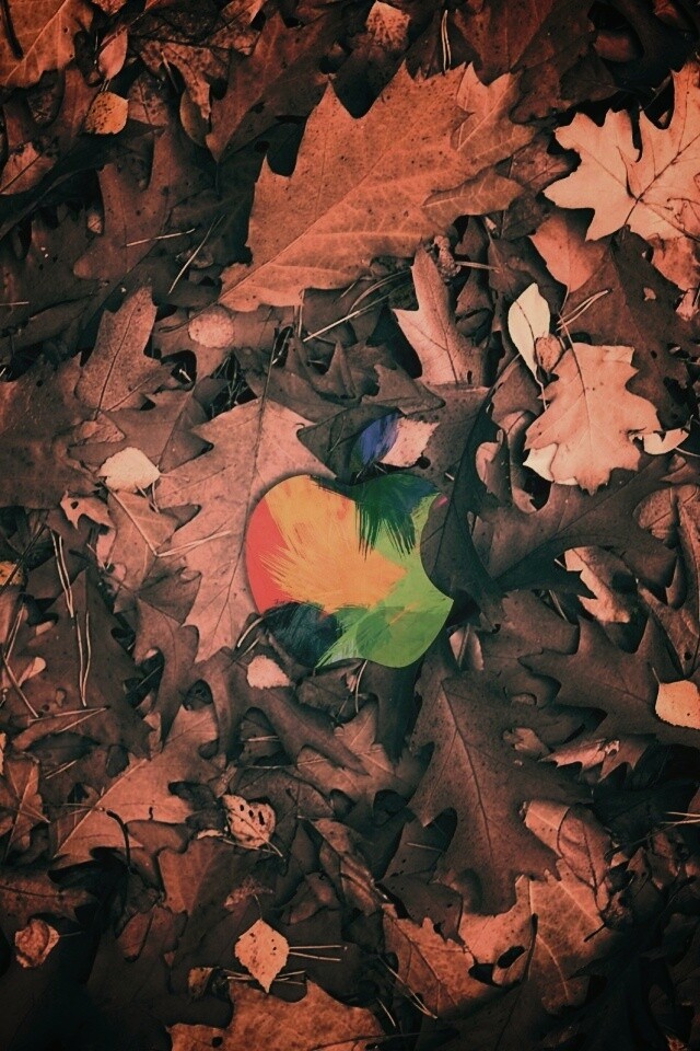 Яблоко в листьях обои