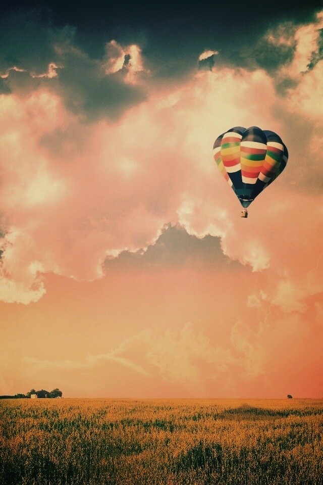 Воздушный шар над зеленым лугом обои