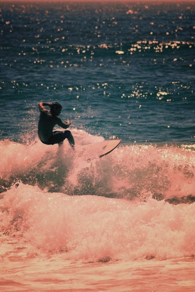 Сёрфенгист поймал волну обои