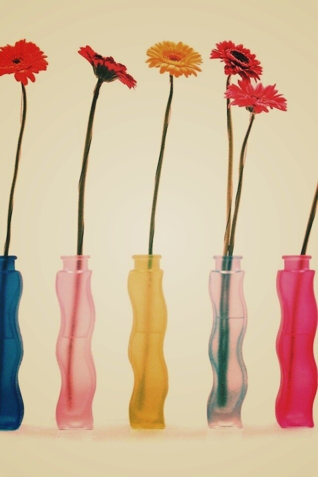 Герберы в изогнутых вазах обои