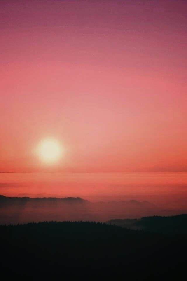 Восход солнца над лесом обои