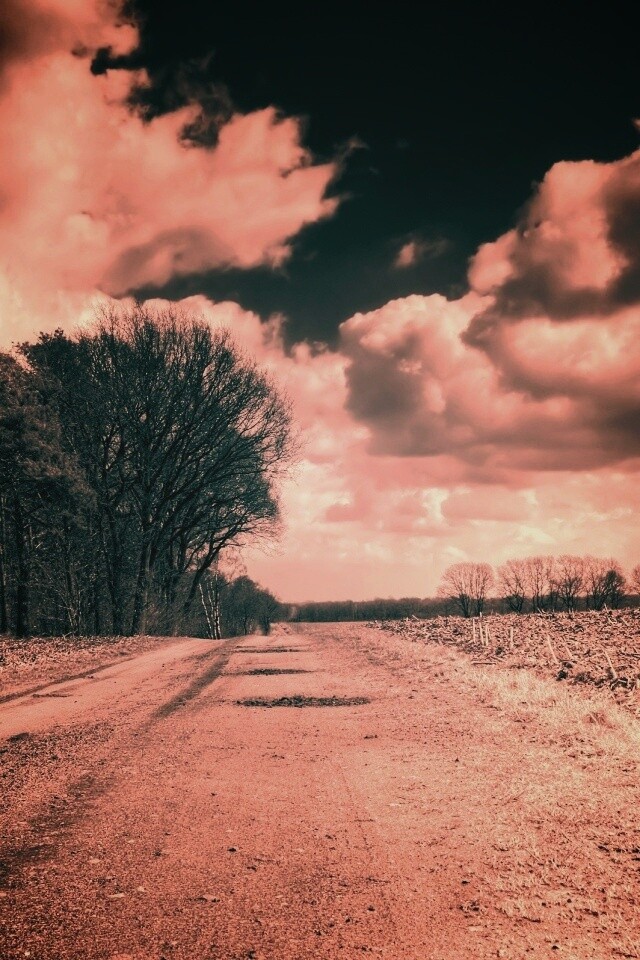 Дорога через поле обои