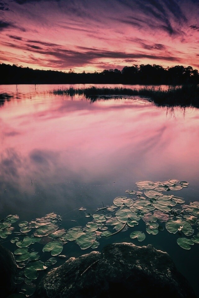 Озеро поздним вечером обои