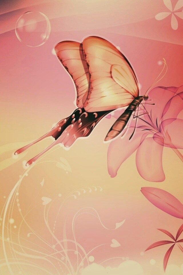 Сказочная бабочка обои