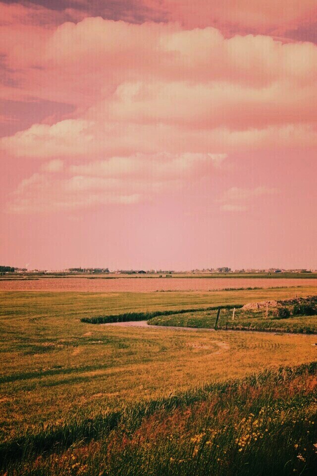 дом на лугу обои