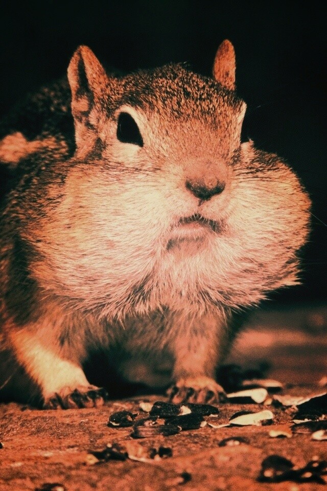 Не жадный, а бережливый обои