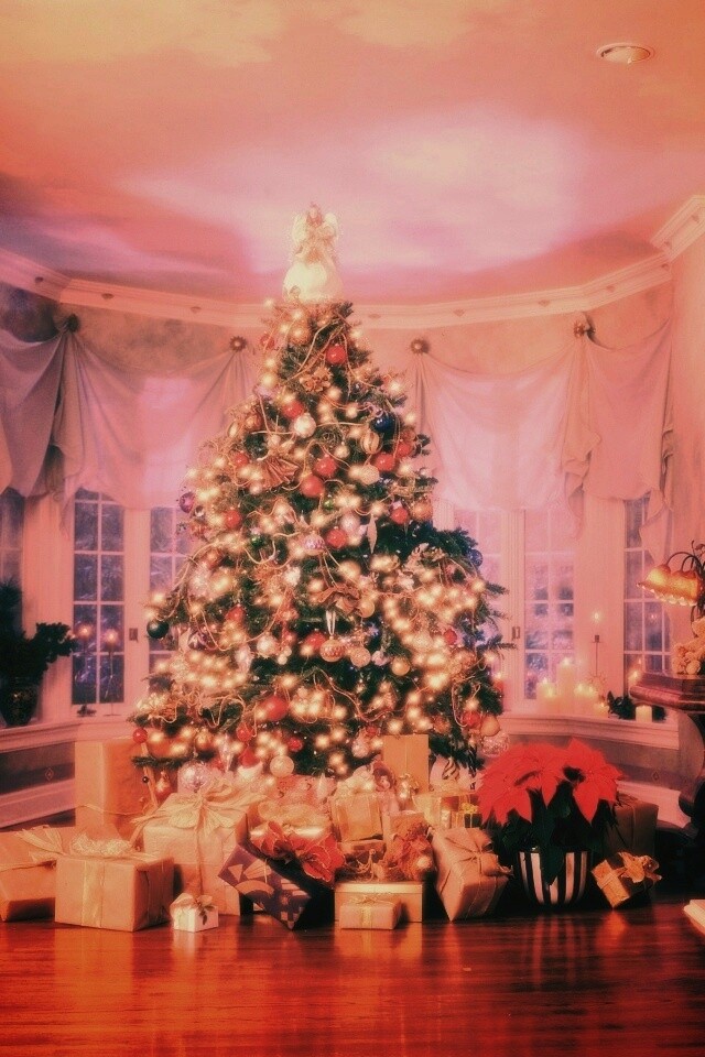 Подарки под ёлкой обои