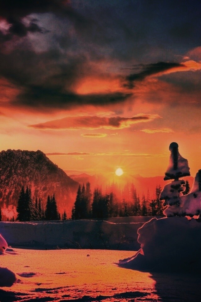 Зимнее солнце обои