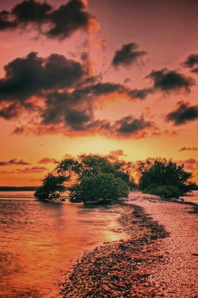 Побережье на закате обои