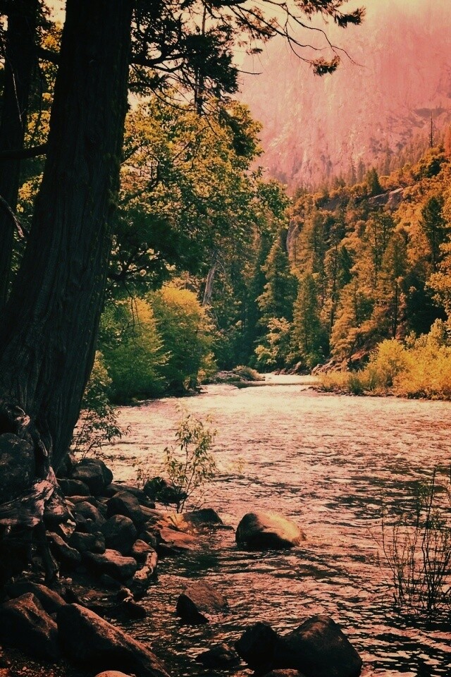 Национальный заповедник обои