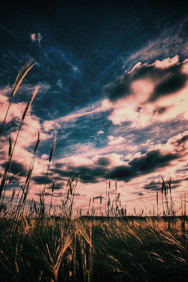 HDR Поле обои