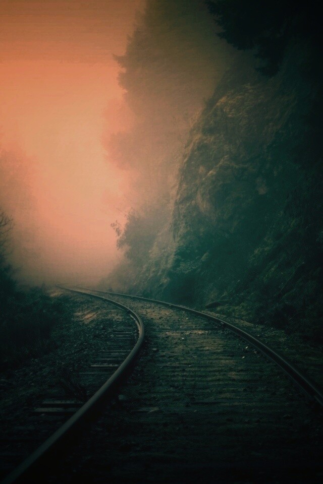 Рельсы уходя в туман обои