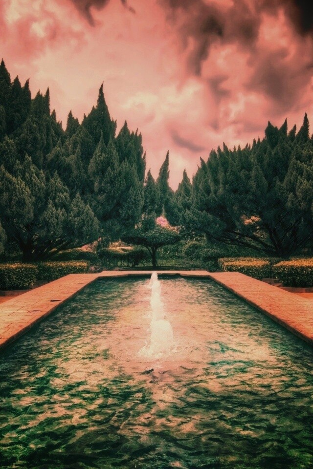 Фонтан в заповеднике обои