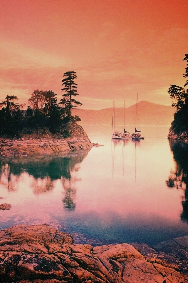 Яхты в заливе обои