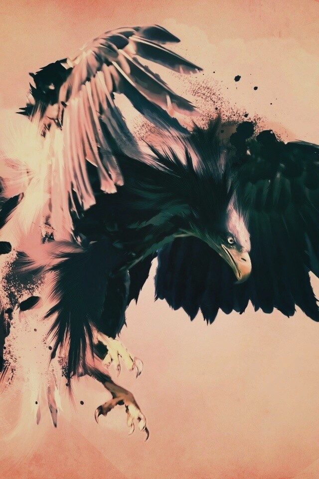 Скетч с орлом обои