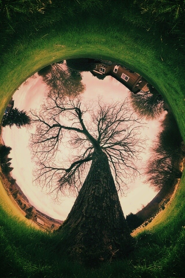 Другой взгляд на мир обои