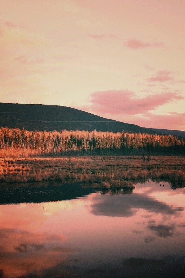 Осеннее озеро обои