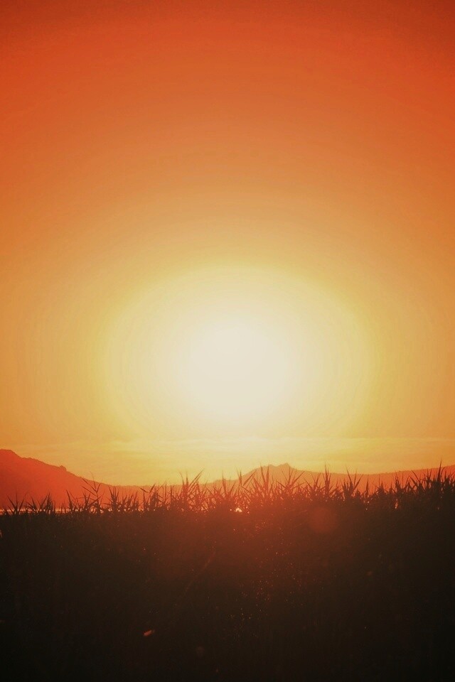 Сельский закат обои