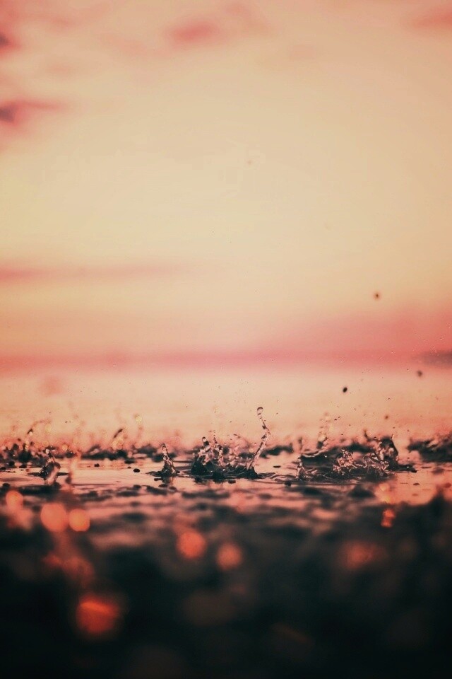 Дождь в макро обои