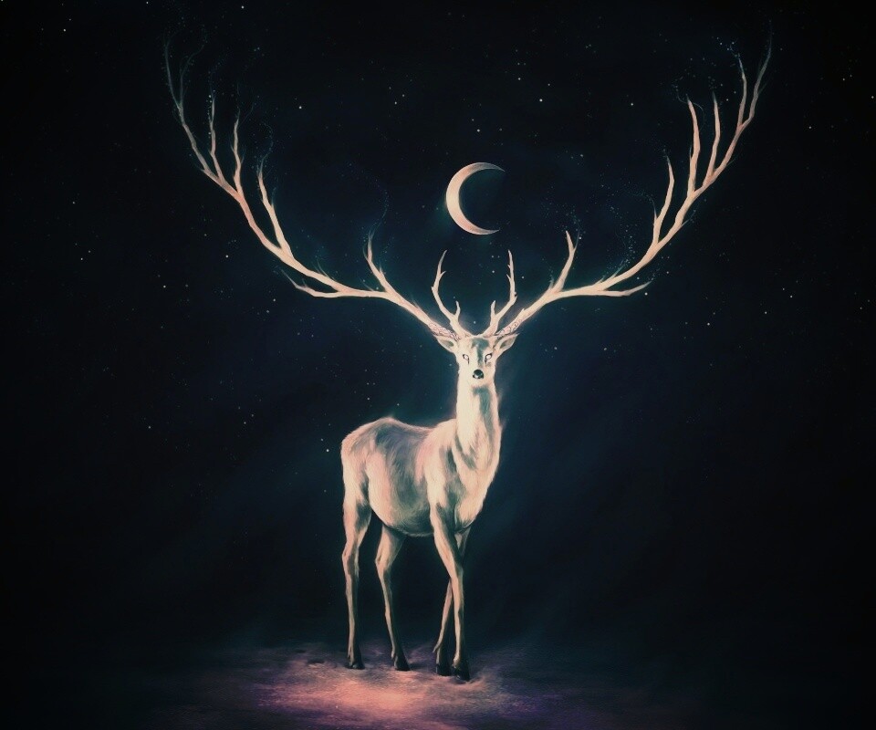 Олень в лунном свете обои