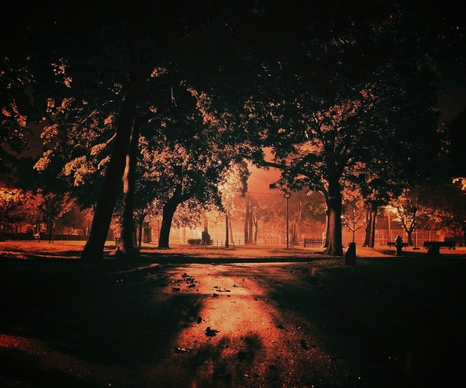 Ночной парк обои