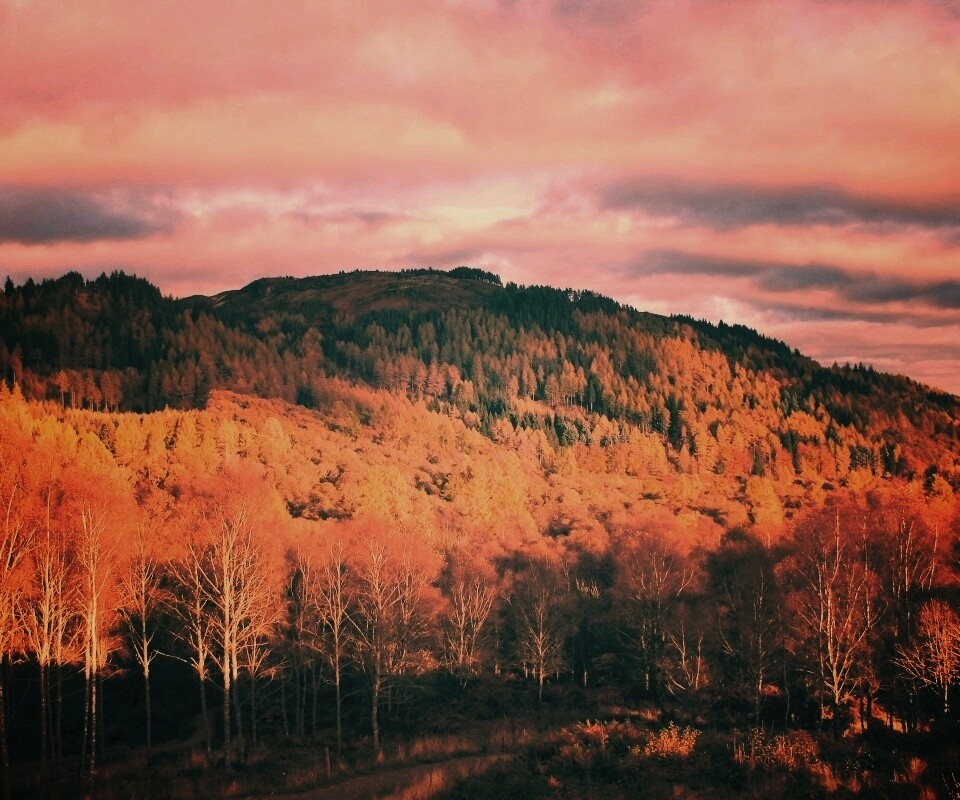 Золотая осень обои