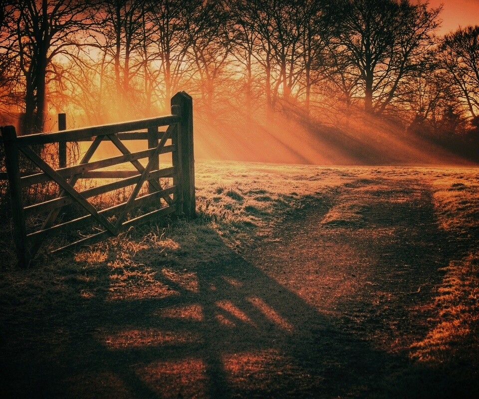 Открытые ворота обои