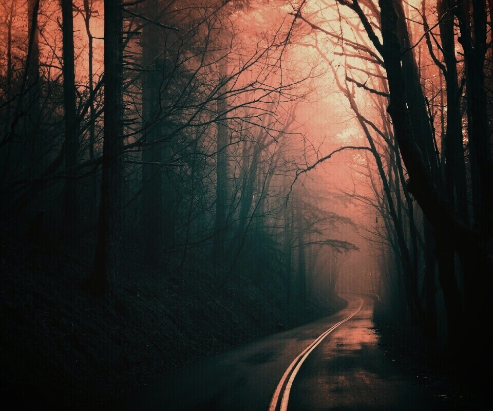 В туман обои