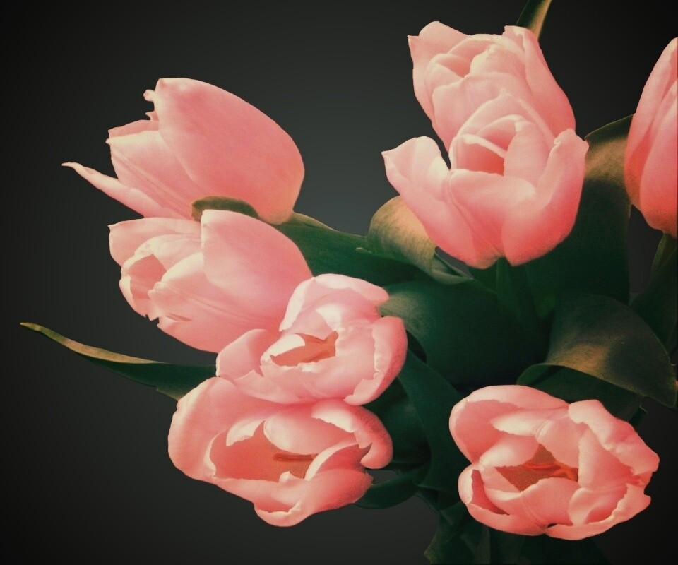 Розовый букет обои