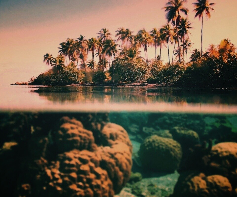 Из-под воды обои