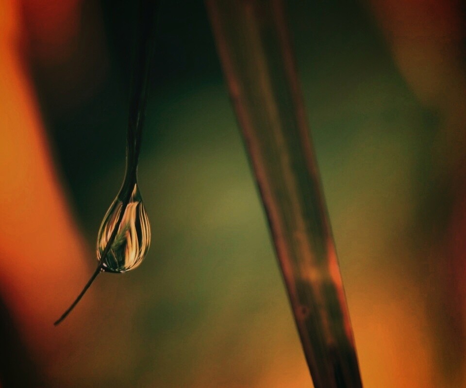 Стекающая капля обои