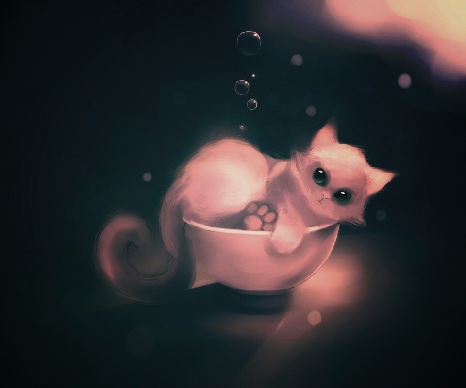 Котёнок в миске обои