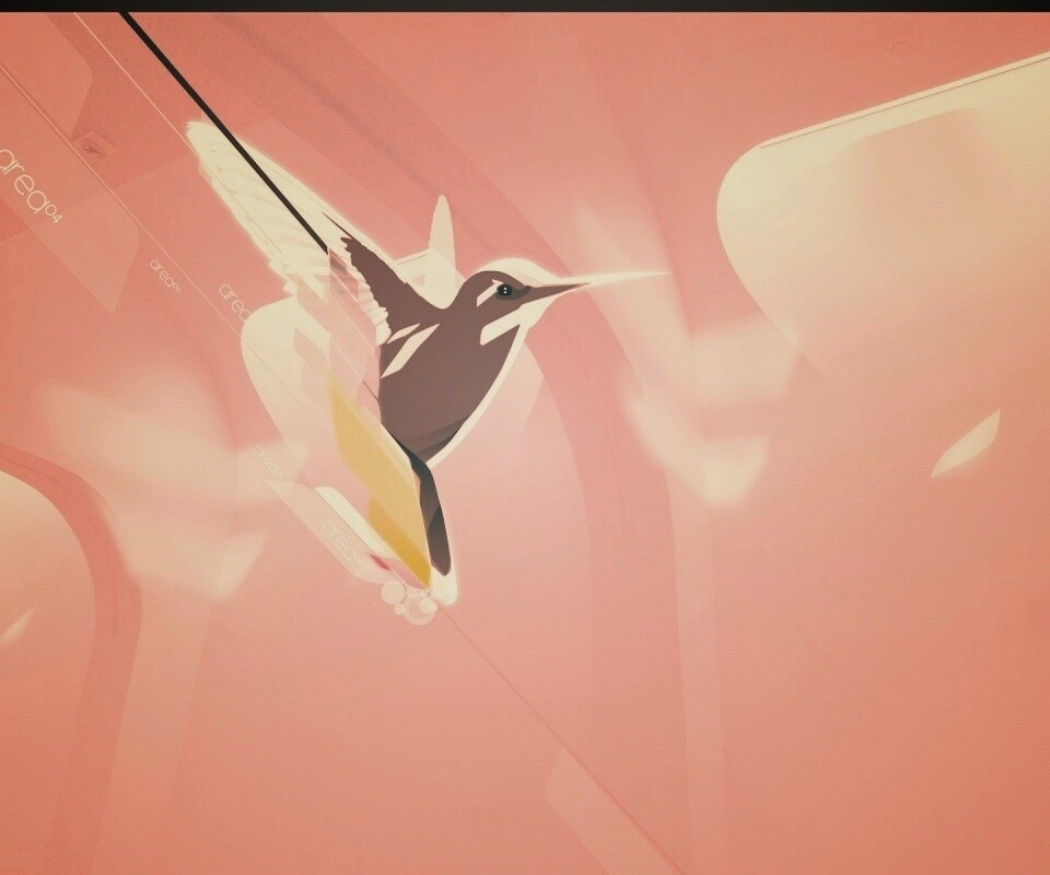 Логотип-колибри обои