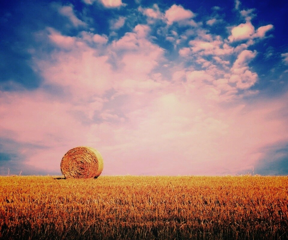 СОломеннынй рулон обои