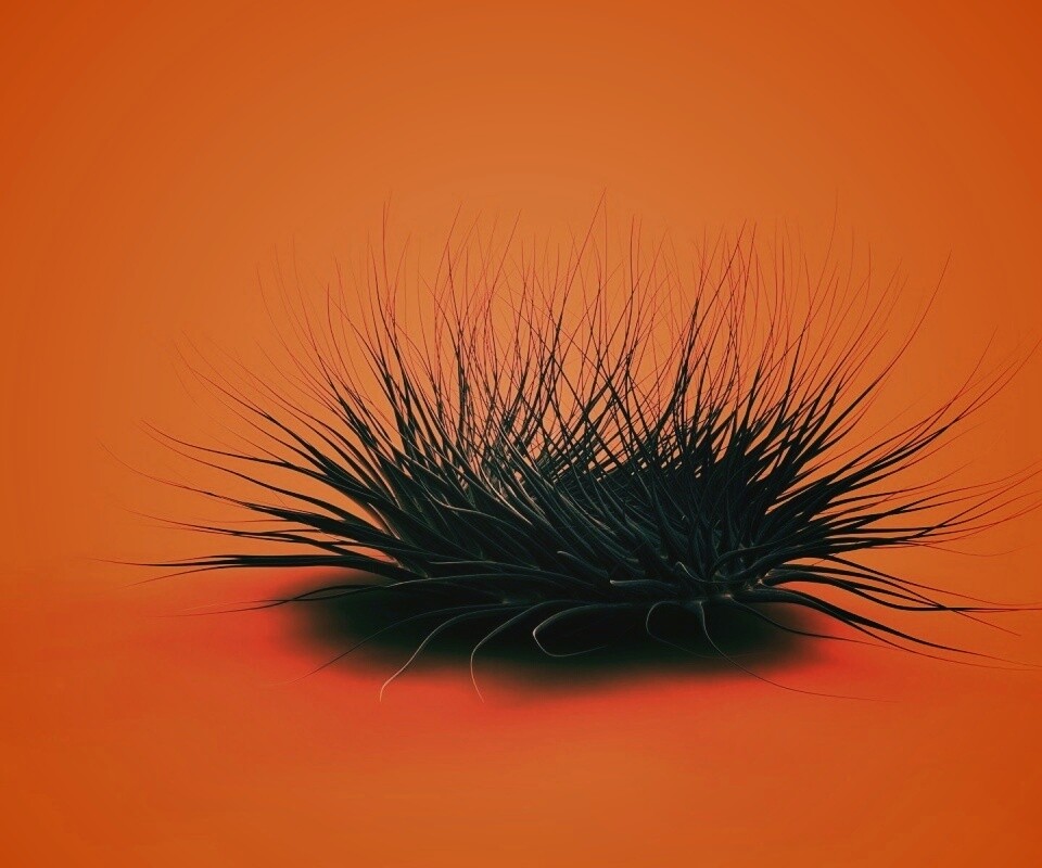 Волосатая мочалка обои